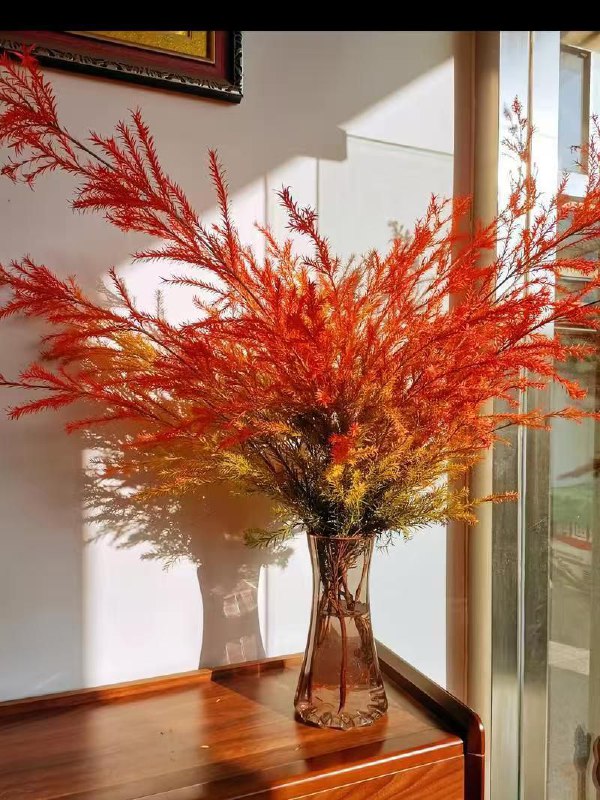 小红书虚拟实操日记day43：知道的太多反而不会选？先做起来再说！姐妹们，今天想聊聊一个特别有意思的现象