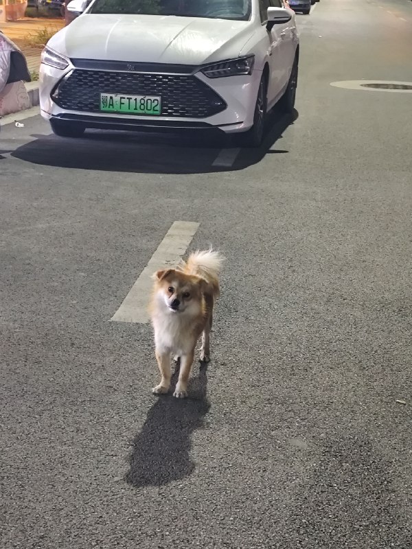 跑完步拉伸时，耳机里在放《裂缝中的阳光》