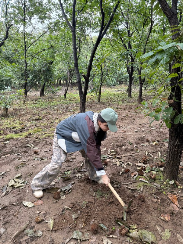 你最适合的“一人公司”商业模式是什么？我采取的是，一年只需要找到30个，人均付费一万的用户