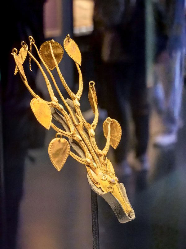 呼和浩特两日，和伊利的朋友探讨产品创新呼和浩特两日，和伊利的朋友探讨产品创新