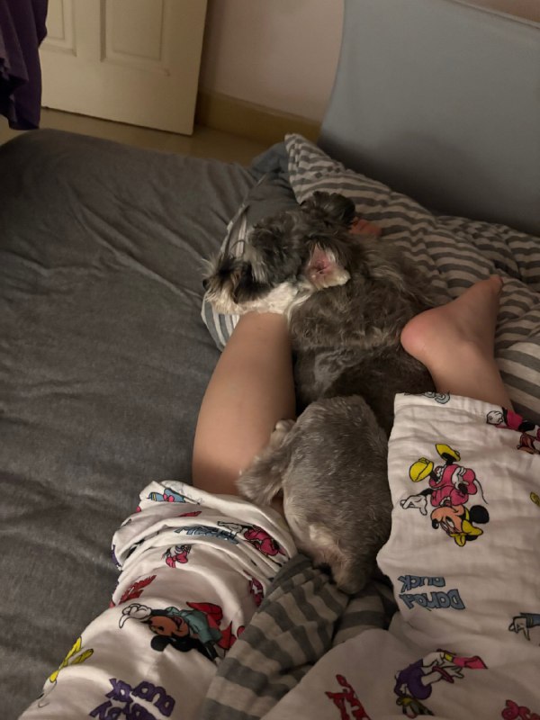 生活杂酱生活杂酱