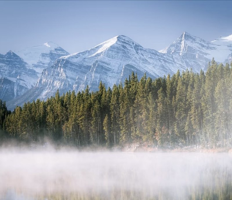 最近琢磨一句话：“从群众中来，到群众中去