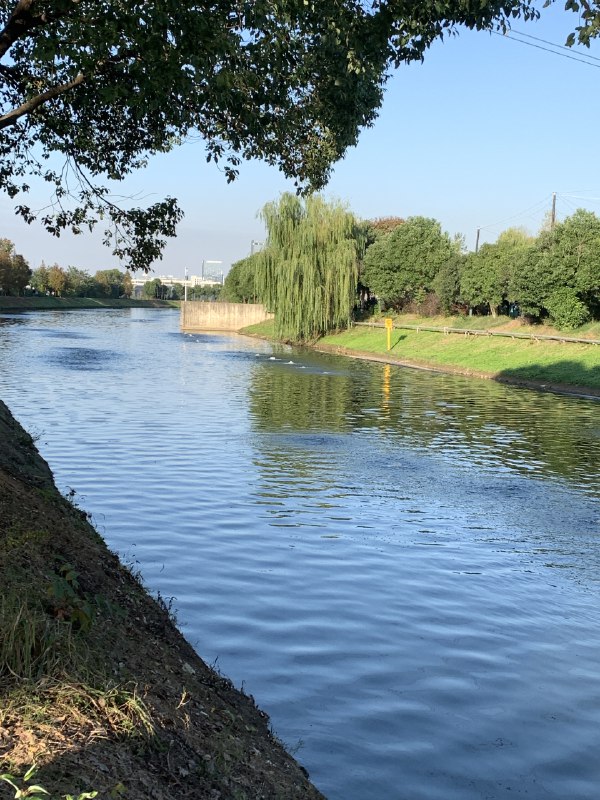 今日份电量充满🈶️晒了 逛了 日落看了跑了 6 公里✌️今日份电量充满🈶️晒了 逛了 日落看了跑了 6 公里✌️