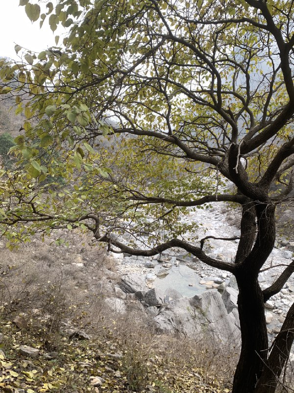 又来徒步了开心😃😃又来徒步了开心😃😃