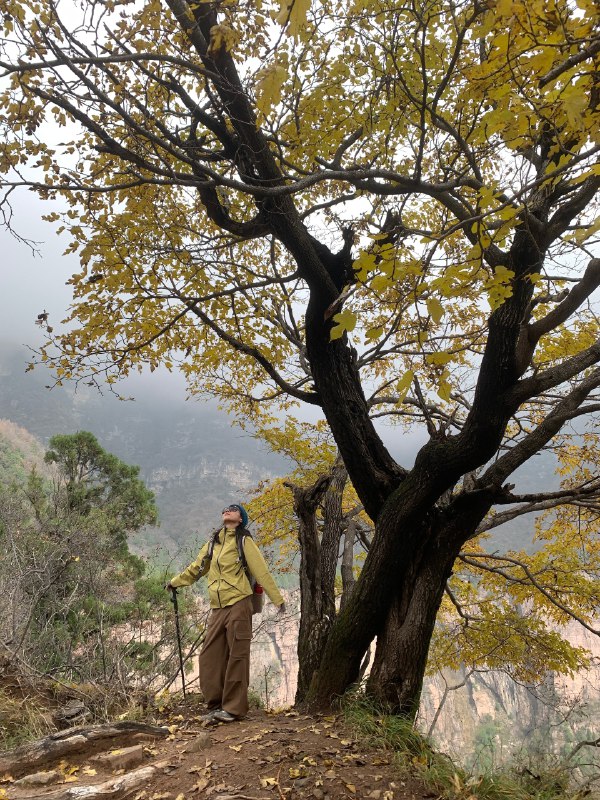 又来徒步了开心😃😃又来徒步了开心😃😃