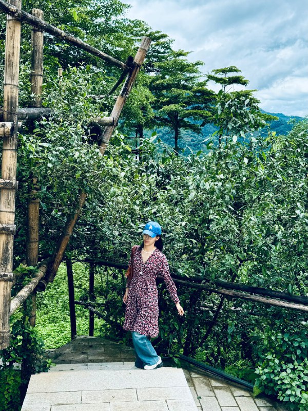 在冰岛茶园喝冰岛茶🍵美滋滋了⛰️溯源真的是一件有意思的事情在冰岛茶园喝冰岛茶🍵美滋滋了⛰️溯源真的是一件有意思的事情