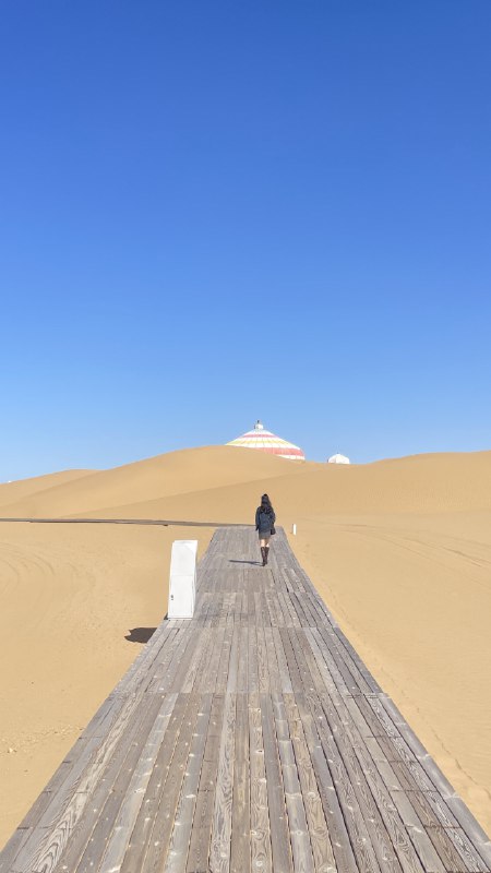 是谁在狂奔的京藏高速上写方案窗外是牛，马窗内是牛马是谁在狂奔的京藏高速上写方案窗外是牛，马窗内是牛马