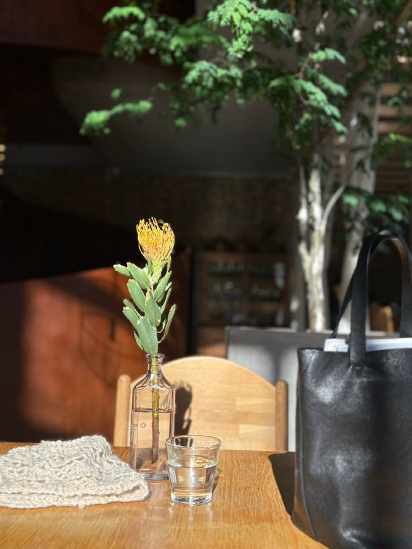 要不忘初心啊！我一路逃离小县城，又不想受上班的折磨，坚持自由职业，不就是为了享受在工作日晒太阳吃个漂亮饭这样的生活吗！Enjoy !让那些评判我“不够这样、太过那样”的声音统统消失