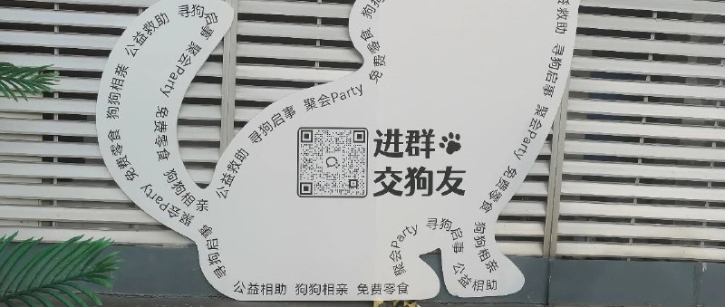 你做自由职业感觉怎么样？有a面也有b面吧，简单来说就是痛并快乐着