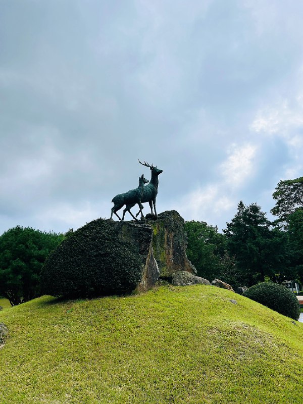 收到了第一笔版税收入 2.3w，很开心