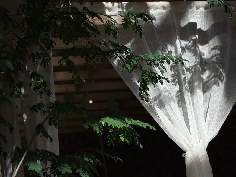 要不忘初心啊！我一路逃离小县城，又不想受上班的折磨，坚持自由职业，不就是为了享受在工作日晒太阳吃个漂亮饭这样的生活吗！Enjoy !让那些评判我“不够这样、太过那样”的声音统统消失