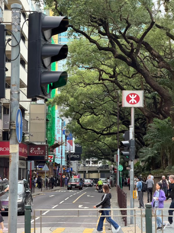 香港见闻2026香港见闻2026