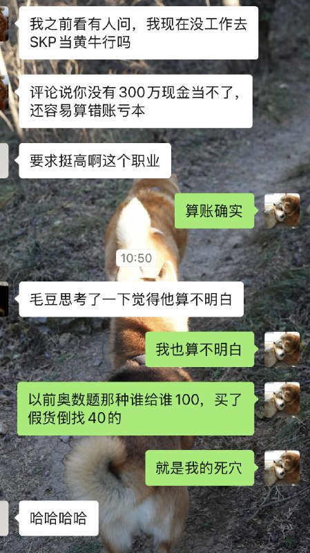 不干自媒体确实不知道自己能干啥