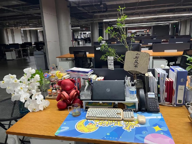 下周要搬去更大的场地了，这次我直接定了128方，我喜欢安静、光线好，还有这个高层落地窗从格子间到自己的大工作室，不知不觉也走了很远的路从0帧起手做了10W+社群，一百多场线下活动、手术完第三天就接待200人企业研学、凌晨6点去外省考资质、3个月没在1点前睡觉写了自己的书，用3年时间重新进入2个全新的领域拿到结果无论吉凶都去做，才有资格问天意我可以去任何我想去的行业下周要搬去更大的场地了，这次我直接定了128方，我喜欢安静、光线好，还有这个高层落地窗从格子间到自己的大工作室，不知不觉也走了很远的路从0帧起手做了10W+社群，一百多场线下活动、手术完第三天就接待200人企业研学、凌晨6点去外省考资质、3个月没在1点前睡觉写了自己的书，用3年时间重新进入2个全新的领域拿到结果无论吉凶都去做，才有资格问天意我可以去任何我想去的行业