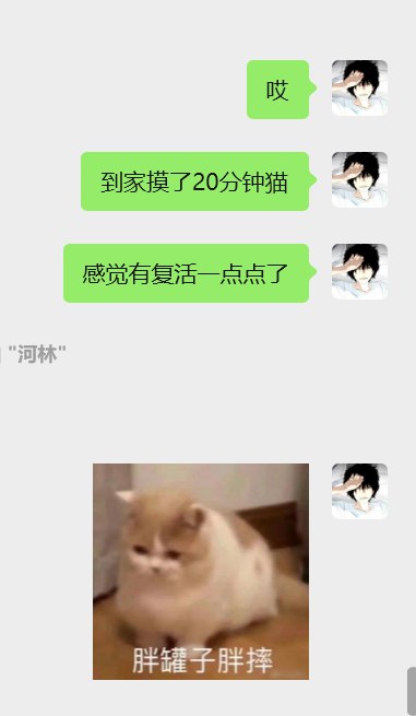 节后第一天的上班真是难受加倍😭下了班有种潜水憋了一天气突然浮出水面的感觉但是也没有特别解脱一想到还要再上一周班身体就很沉很重到家之后要摸小猫20分钟才能恢复一点点元气🥺歇一歇搞完主业，开始搞副业😫节后第一天的上班真是难受加倍😭下了班有种潜水憋了一天气突然浮出水面的感觉但是也没有特别解脱一想到还要再上一周班身体就很沉很重到家之后要摸小猫20分钟才能恢复一点点元气🥺歇一歇搞完主业，开始搞副业😫