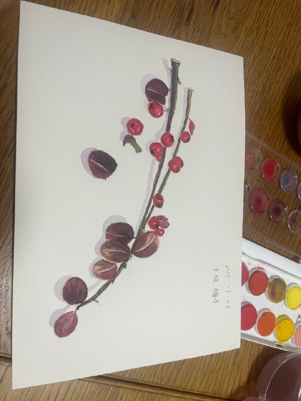 慢下来，感受生活🌞感受心里的变化……