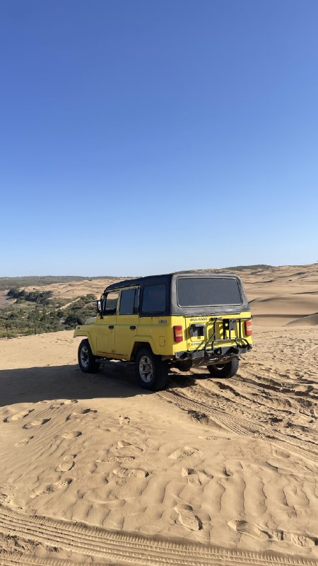 是谁在狂奔的京藏高速上写方案窗外是牛，马窗内是牛马是谁在狂奔的京藏高速上写方案窗外是牛，马窗内是牛马