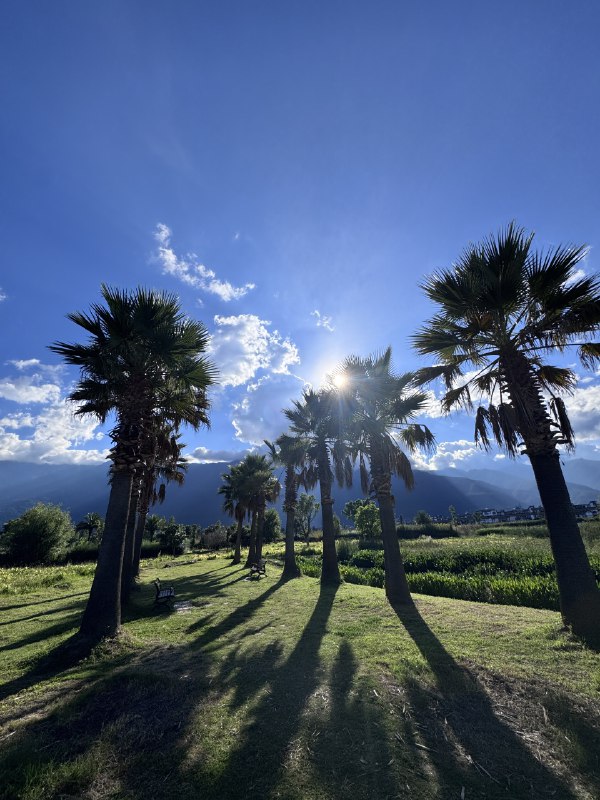 在周末我一般什么都不会做，只是彻底得休息
