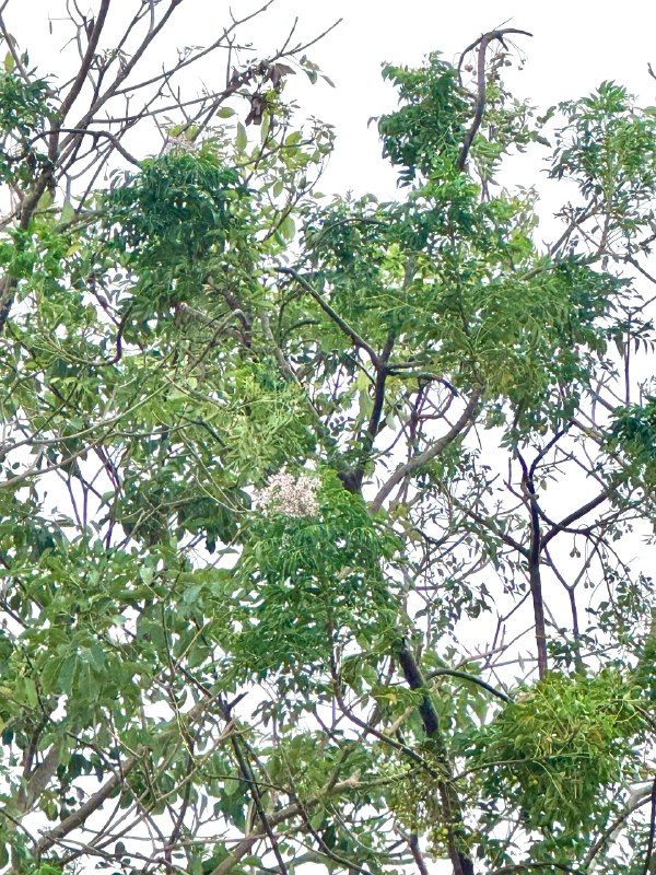 是啦，被投喂，又处理破路由器当一下午废物了是啦，被投喂，又处理破路由器当一下午废物了