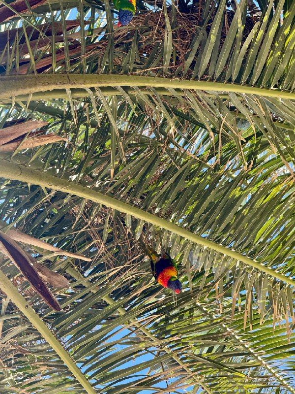 今天起来写了篇公众号，发了个小红书，录了个B站视频，然后坐船去海边玩了～今天起来写了篇公众号，发了个小红书，录了个B站视频，然后坐船去海边玩了～