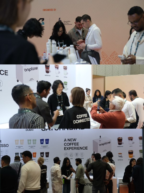 领域展开，闪耀迪拜！领域展开，闪耀迪拜！