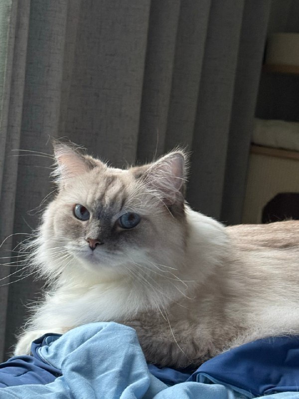 闭关学习期稳定内核 按照自己的节奏吸收🧽闭关学习期稳定内核 按照自己的节奏吸收🧽