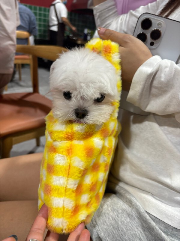 生活杂酱生活杂酱