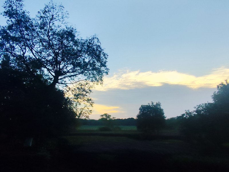 跑完步拉伸时，耳机里在放《裂缝中的阳光》