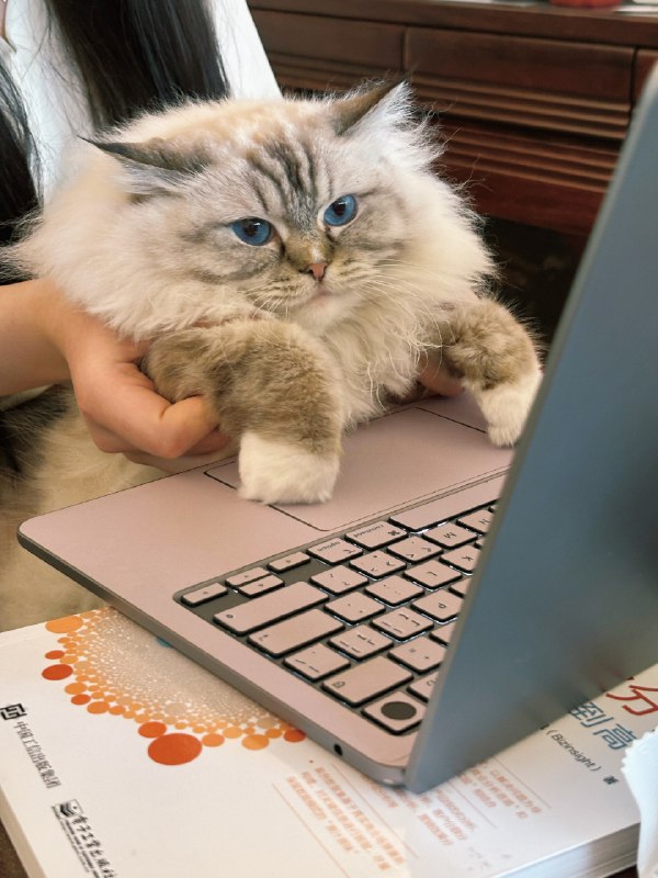 这年头真的太卷了，聚会必须学点什么东西带走🥹Vibe Coding 的现场，我越来越确认一件事：真正能做出好产品的人，底层一定有生活感