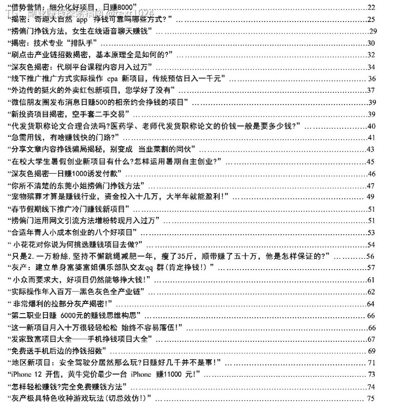 《捞偏门》：揭秘快速赚钱项目与灰色产业链内幕